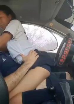 Pendeja estudiante cogida en el auto 13